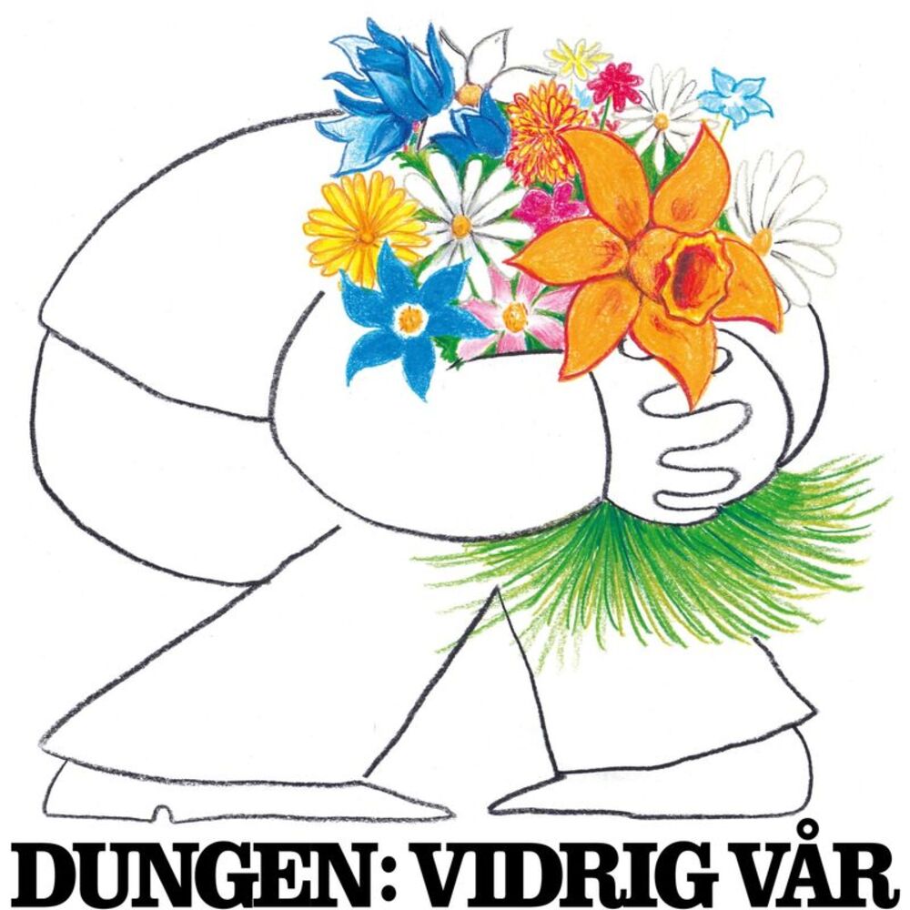 Dungen - Vidrig Var  LP LP